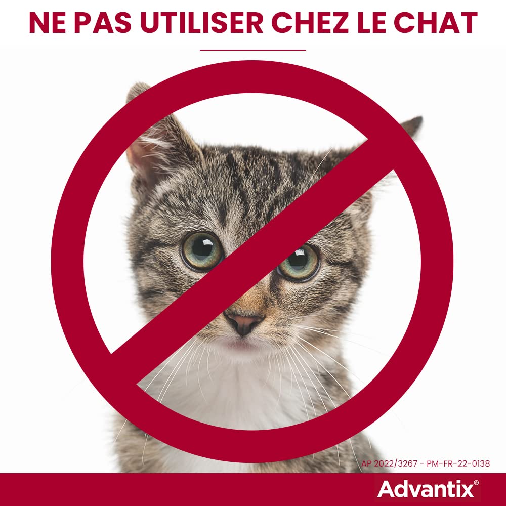 Advantix Mały pies o wadze od 4 do 10 kg – pipety dla 6 pasożytów – pipeta dla stałej ochrony przez 4 tygodnie – 6 x 1,0 ml