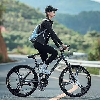 マウンテンバイク 自転車(マウンテンバイク) SUPER73-ZX | Comfortable Commuter