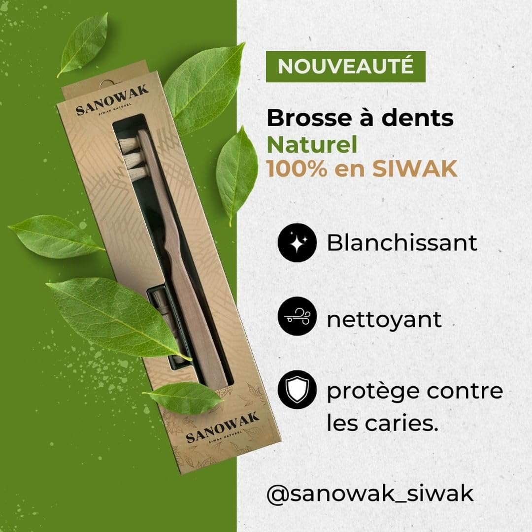 Brosse à Dents Naturelle En Racine De Souak (Miswak) - Biologique - Neuf