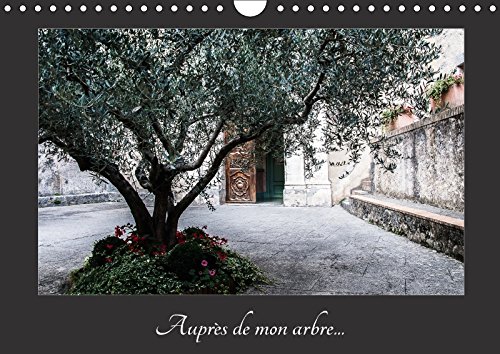 AUPRES DE MON ARBRE CALENDRIER MURAL 2018 DIN A4 HORIZONTAL: AU TRAVERS