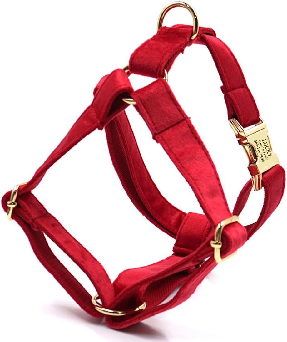 PETDURO Personalized Fancy Cute Soft Velvet Dog Harness with Name Engraved Gold Metal Buckle for Female Girl Boy Dogs of Medium Small Large Sizes and All Breeds (Red, S)