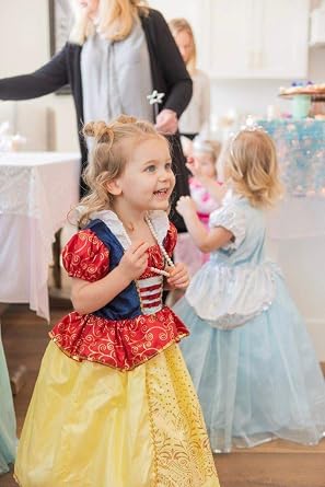 Little Adventures Snow White Princess Dress Up Costume