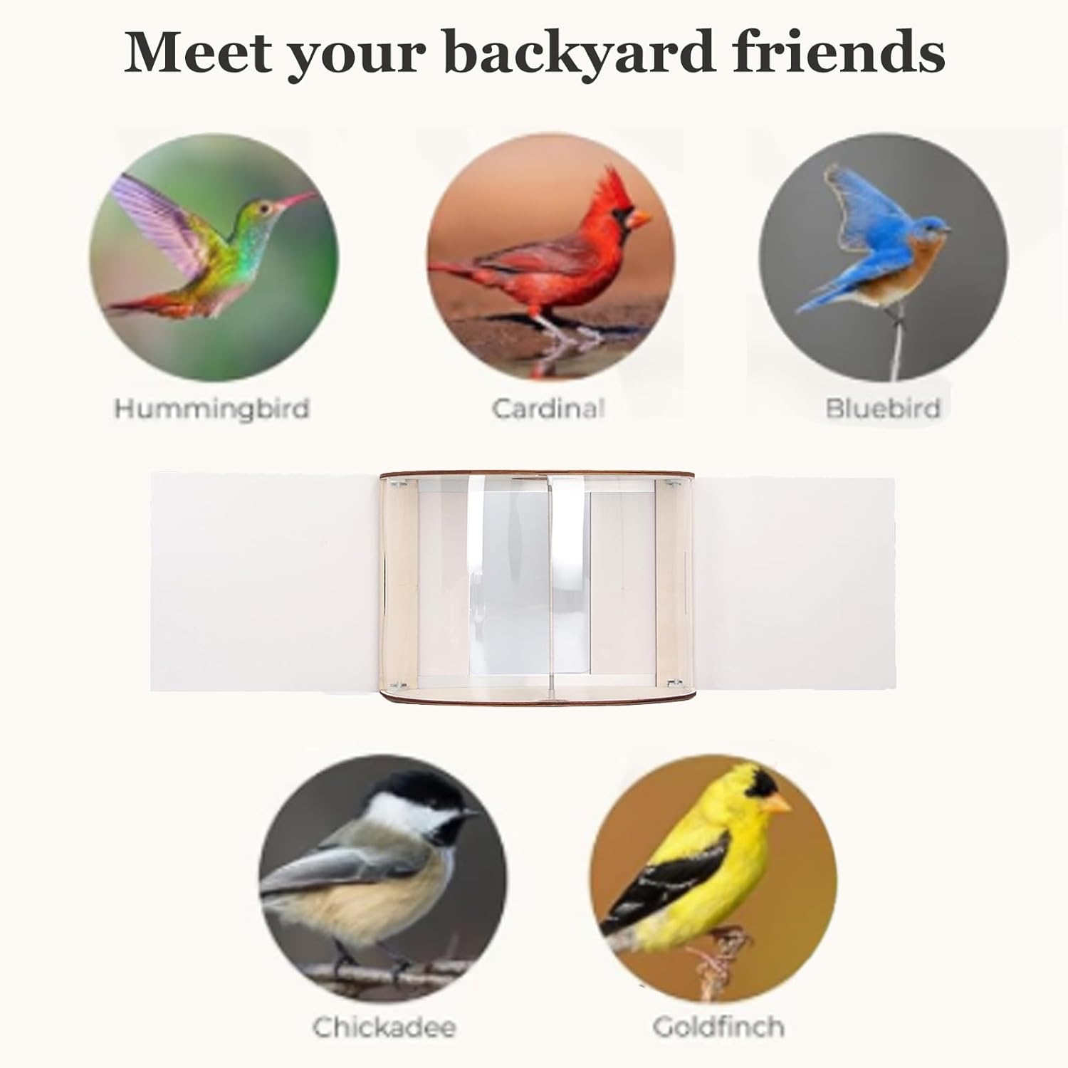 Window Bird Feeder Inside House Rain Proof Adjustable Inlet Stable 180° Clear View Bird Feeder for Watching