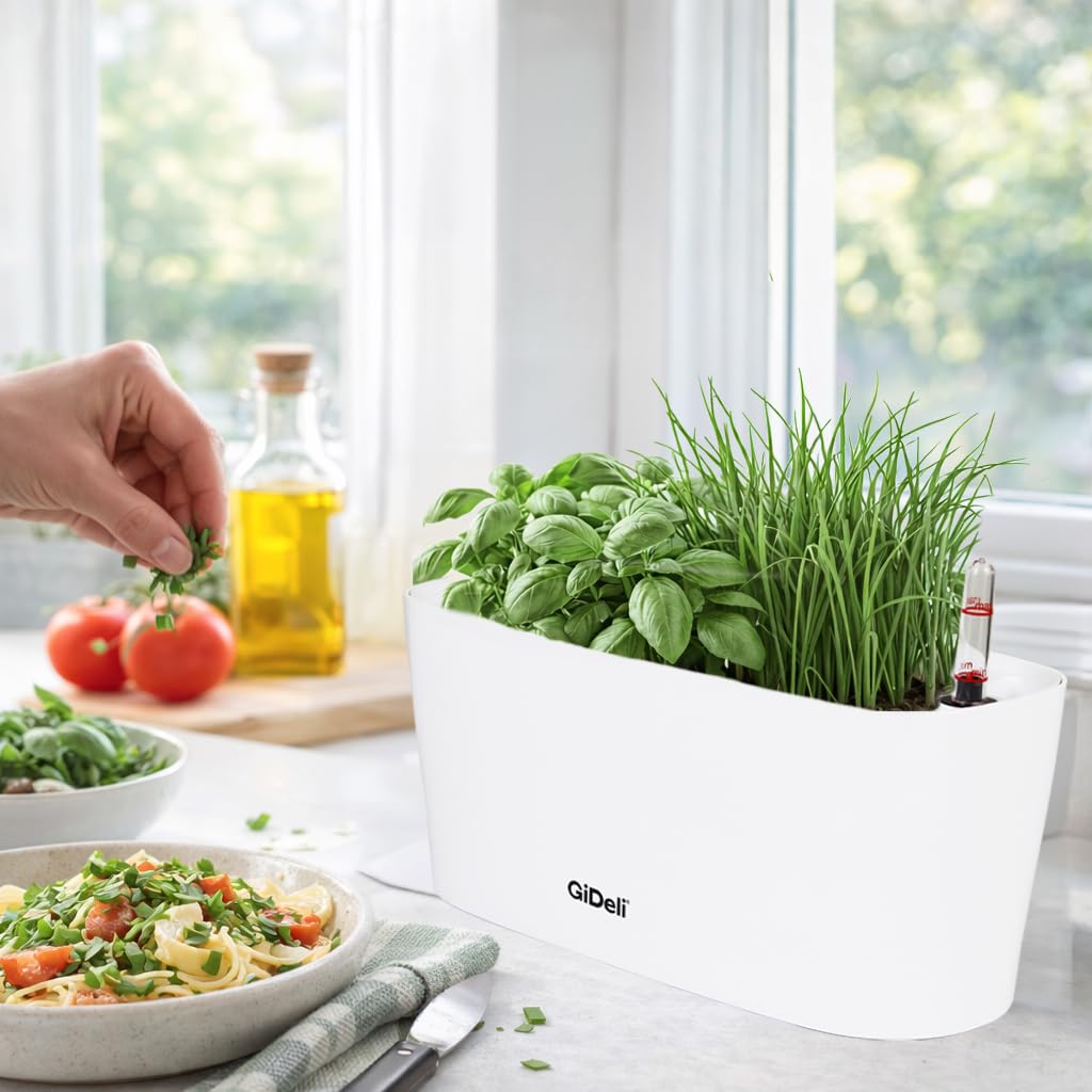 GiDeli Vaso da fiori autoirrigante – Vaso autoirrigante con indicatore del livello dell'acqua – Vaso per fiori che protegge da trabocco e marciume – Vaso per piante risparmiando tempo
