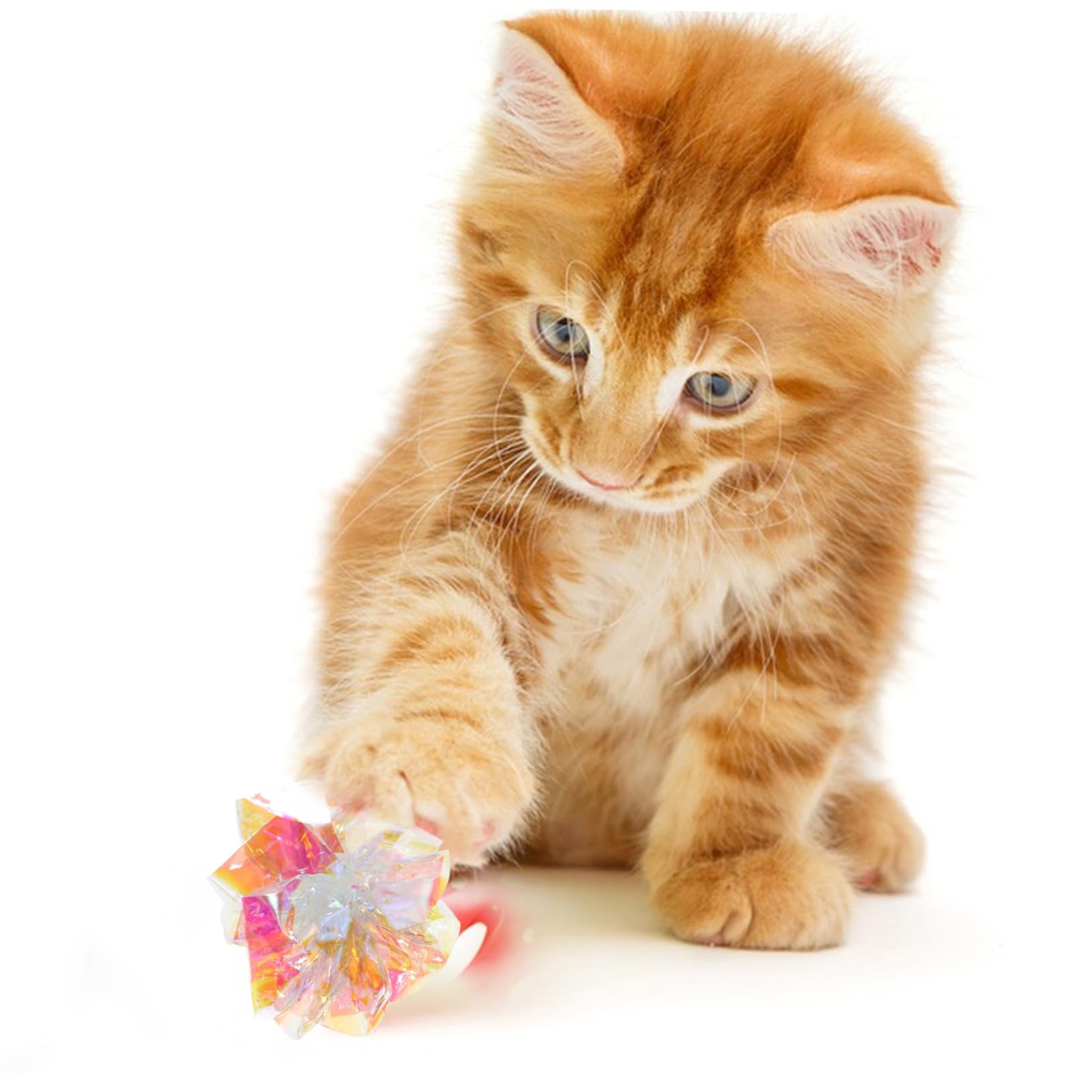 Abaodam Bright Cat Crinkle Balls 5pcs Interactive Kitten Toys Sound Crinkle Balls Cat Toys for Indoor Play