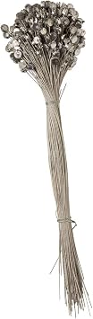 BFS Round Lead Security Seals, 100 Pcs - 3/8 inch 10mm with 12" 304 Stainless Steel Wire, Adjustable Utility Meter Seals for Gas, Water, Electricity & More - Fast & Free U.S. Shipping