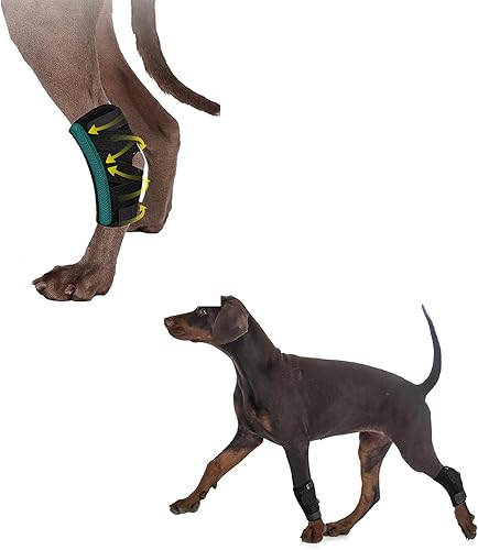 Miniatura 1 de (SM) - Soporte para patas de perro para piernas fuertes y traseras, soporte para patas traseras con tiras de metal duales, deformaciones