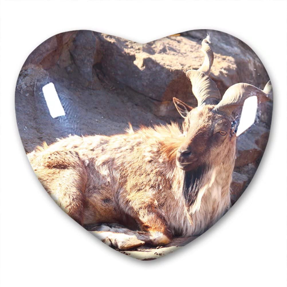 LywallcaPakistan Marker Goat Capra Falconeri Fridge Magnet Refrigerator Stickers Collection Decorative Magnet Travel Souvenir Heart-Shaped Crystal Glass