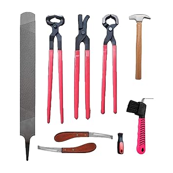 8PCS Rasp Hoof Cutter Set, Horse Farrier Hoof Trimmers Tools Kit, Include Horseshoe File, Horseshoe File Handle, Horse Hoof Trimmer, Horse Shoe Cutting Pliers, Horseshoe Brush(Random Color) Etc