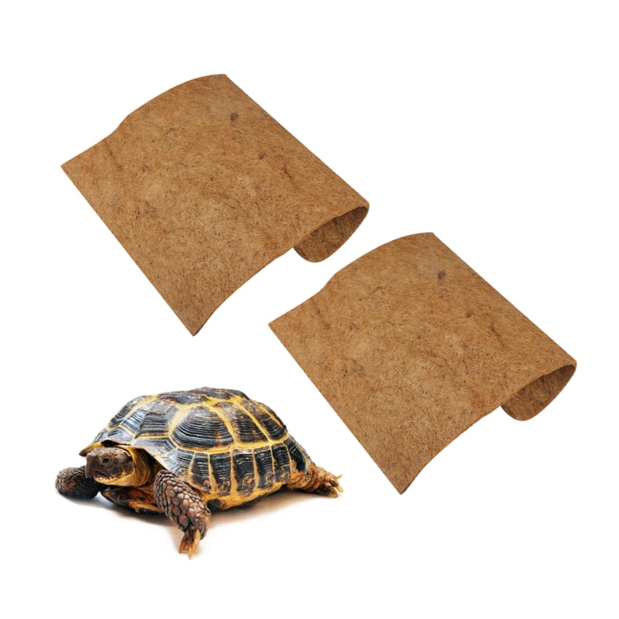 BESPORTBLE 2 Pièces Tapis Brun De Noix De Tapis De Reptile Tapis en Fibre De en Bois