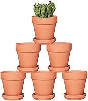 Orceler 4 Inch Terracotta Pots with Saucers - 6 Pack Small Clay Plant Pots, Drainage Holes for Succulents, Herbs, Crafts, Wedding Favors