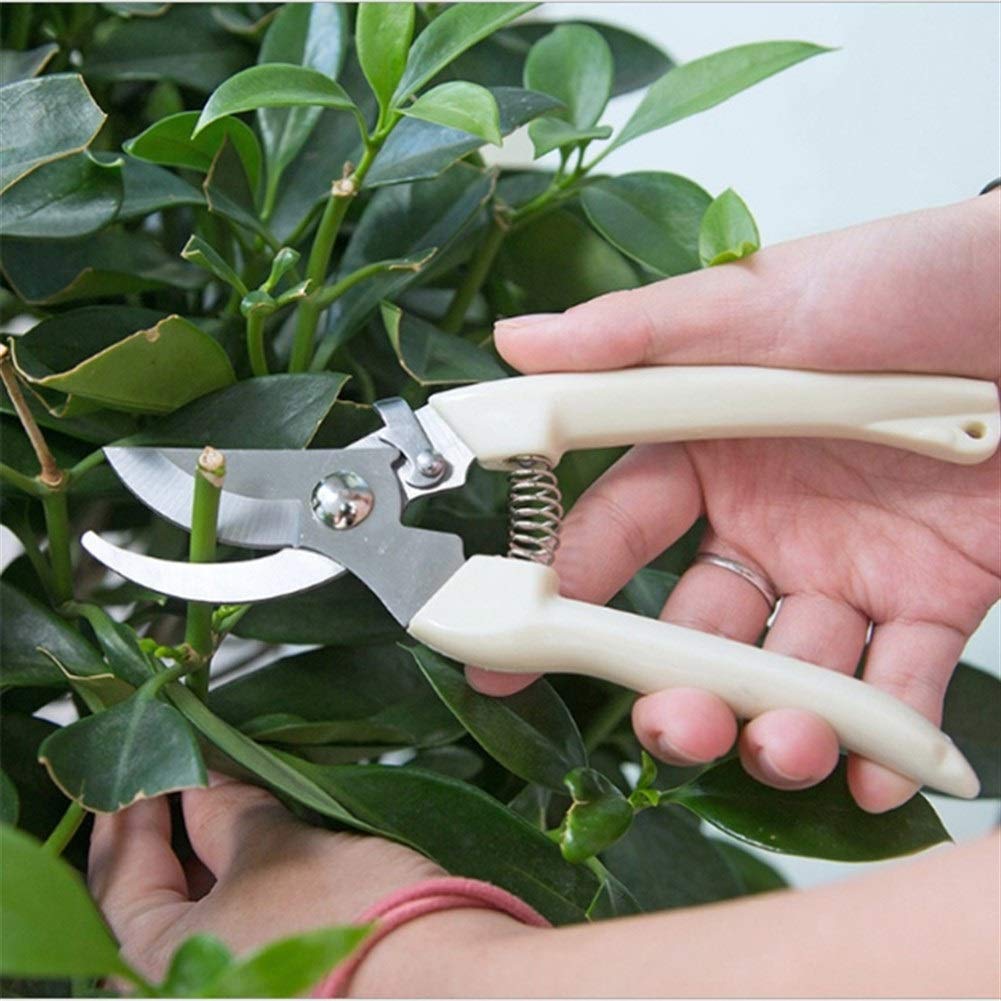 Gartenschere, Gartenschere, Heckenschere, Gartenschere, Baumschneider, Heimwerkzeuge, Bonsai-Werkzeug, Traube, Gartenarbeit, Gartenschere, Schere, Edelstahl-Schneidwerkzeug-Set