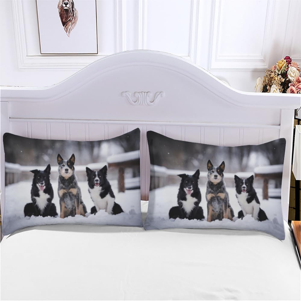 Kinderbettwäsche 135x200 Cm Border Collie 3D-Druck – Mikrofaser Set 2-teilig Mit Reißverschluss, Weich & Hypoallergen