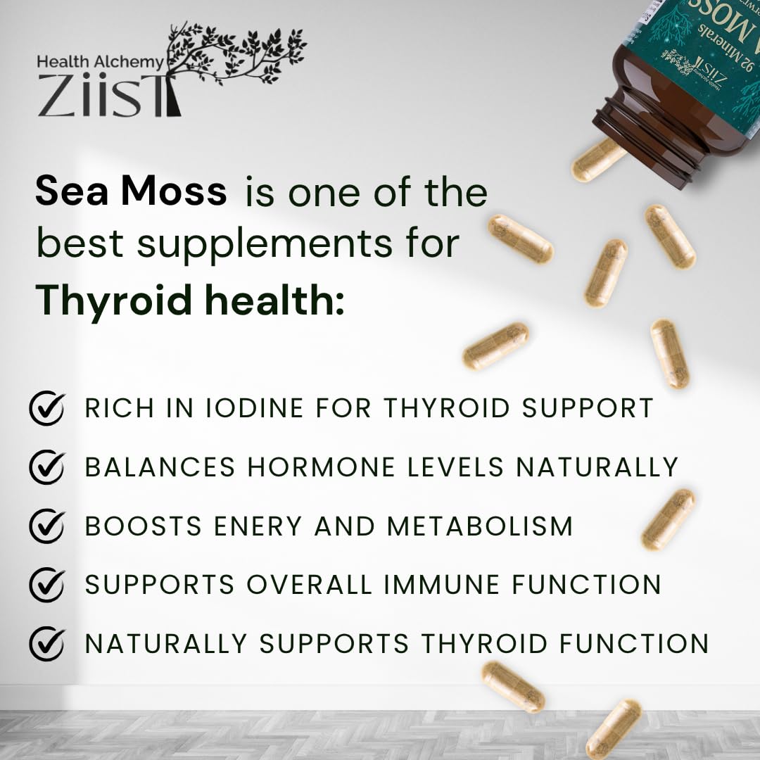 Ziist Wildcrafted Sea Moss Supplement – 90 Veg Capsules | with Bladderwrack, Burdock Root & Spirulina | Natural Superfood for Energy & Immunity 4