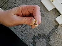 Review Image by Fred V. Fred V.