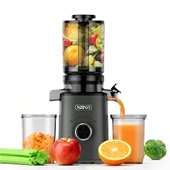 BPA Free Cold Press Juicer Slow Juicer Machine Easy to Clean Self-Feeding Masticating Juicer with Large Feed Chute
