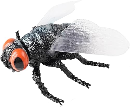 Figura de mosca grande – Juguete de insecto realista hueco para niños – Juguete educativo de insectos para clase de ciencias y exhibición