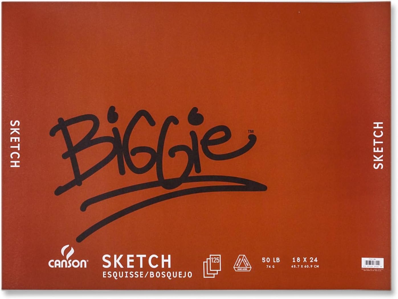 Canson Biggie Sketch Pads 18 in. x 24 in. pad of 120