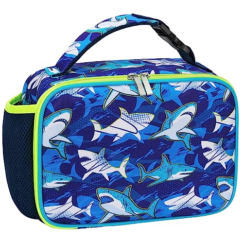 Yubo Lunch Box Shark Tank Update After the Show Shark Tank (2024 Update)