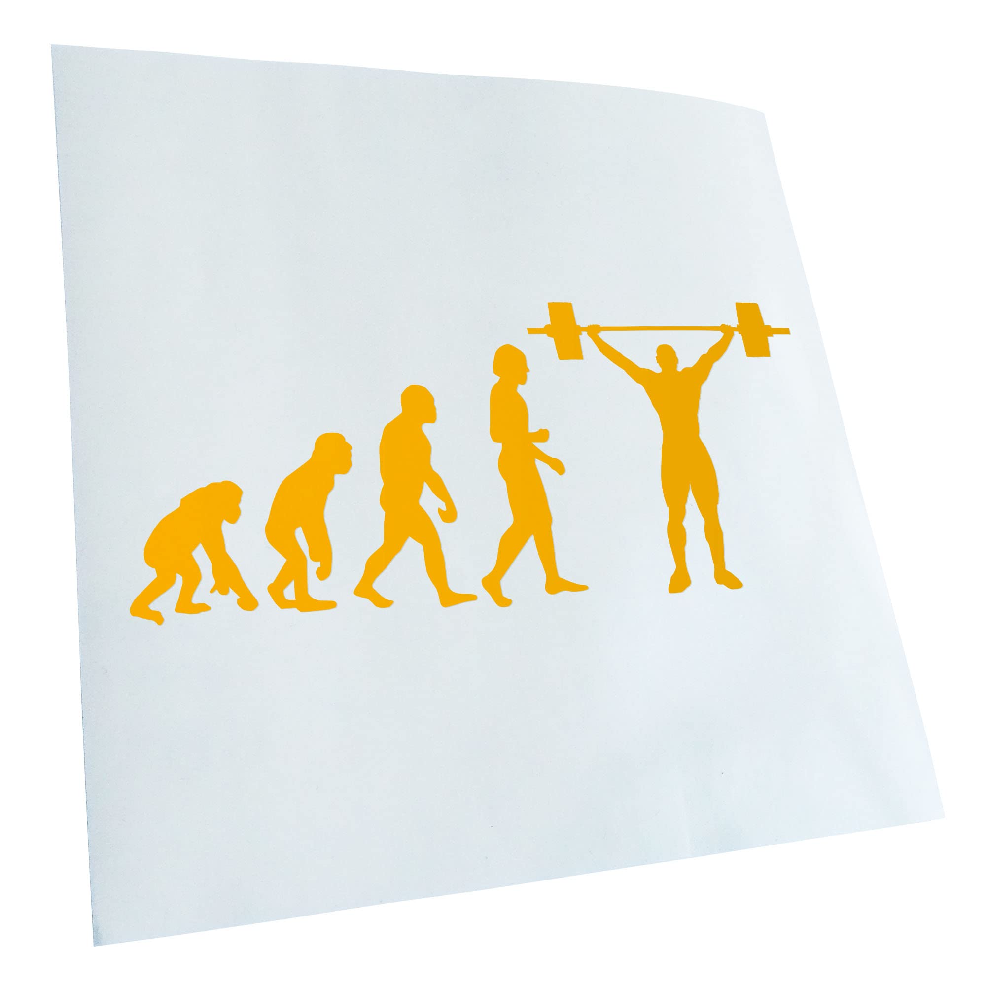 Kiwistar - Car Sticker - Yellow - 50 x 21 cm Evolution Weightlifter - Rear Window Car Sticker Weatherproof for Car Truck Moped Truck - Sticker Exterior Self-Adhesive Tuning Accessories for Window