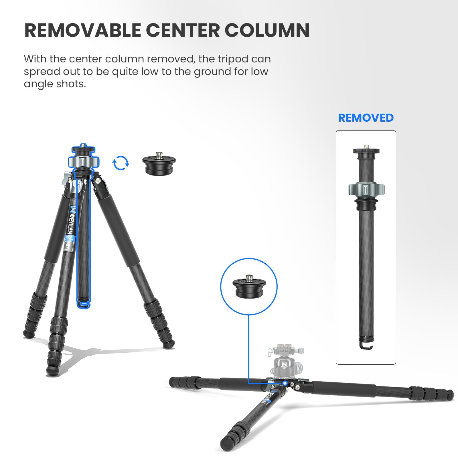 WEYLLAN Trépied En Fibre De Carbone 160 Cm, Trépied Robuste