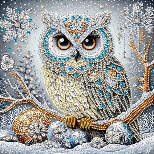 SuuTang 5D Special Shape Owl Diamond Art Painting Kits for Adults, Crystal Rhinestones Diamond Painting, Gem Art Diamond Dots Crafts for Beginners DIY, Home Wall Christmas Decor Gift, 12x12inch