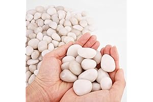 Natural Large Cream White River Rocks Pebbles - Durable Stones for Plants, Vases, Aquariums, Gardens