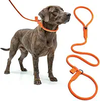 Guia Unificada para Cães Corda de Polipropileno, 1,2m x 10mm, Resistente até 150kg, Macia e Confortável, com Limitador Reforçado, para Passeios (LARANJA)