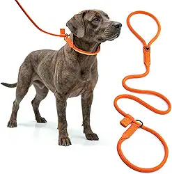 Guia Unificada para Cães Corda de Polipropileno, 1,2m x 10mm, Resistente até 150kg, Macia e Confortável, com Limitador Reforçado, para Passeios (LARANJA)