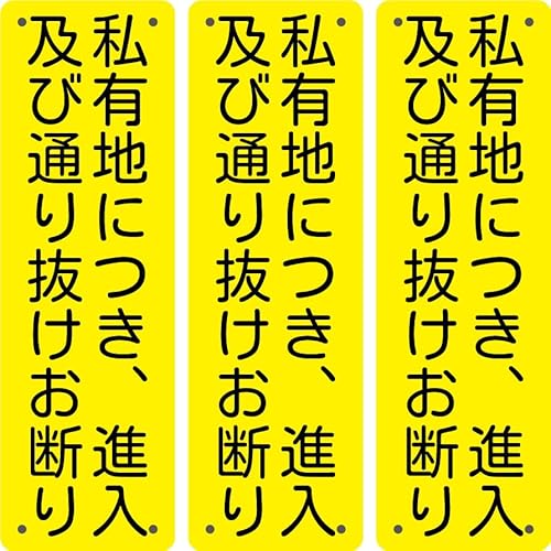 3Zbg ӊŔ ϋvFyLnɂAiyђʂ蔲fz315mm×100mm1mmu pۉH+4ӏ5mmvplŔ W TC x ZLeB  ԏ U fh~  X x h OΉ (0