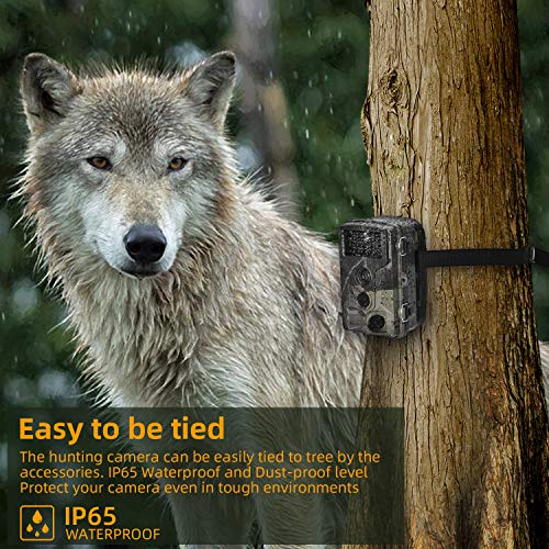 TCNEWCL Trail Camera 20MP 1080P HD Waterdicht, Wildlife Hunting Scouting Game Camera met 42Pcs IR LED Infrarood Night Vision Tot 80FT/25M, Surveillance Camera Brede Hoek 120° Detectie - Image 7