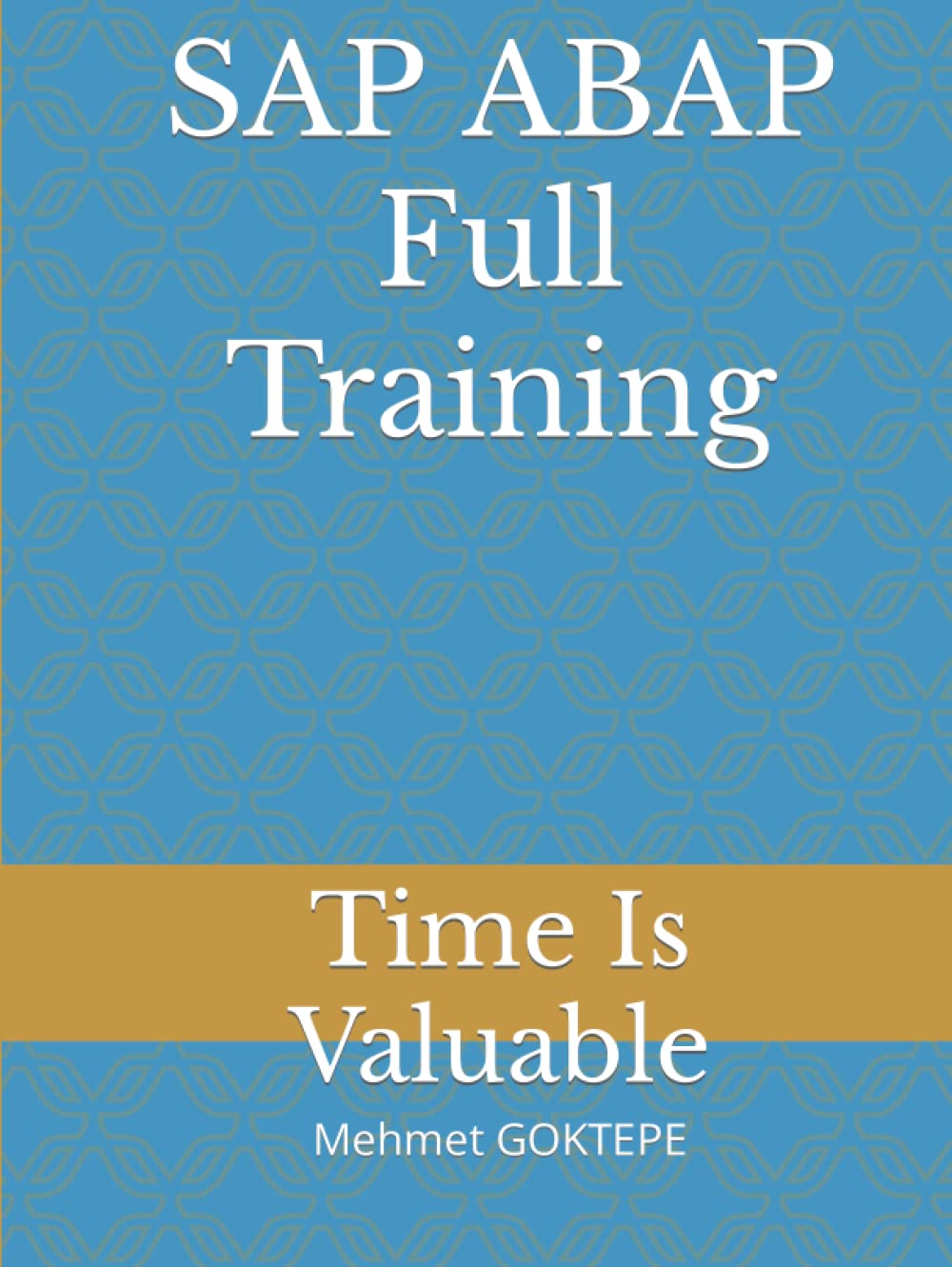 SAP ABAP Full Training - Time Is Valuable: sap erp, sap abap coding, sap abap quick guide, sap abap full training, sap abap training, SAP ABAP Full ... sap abap business aplication, sap abap book