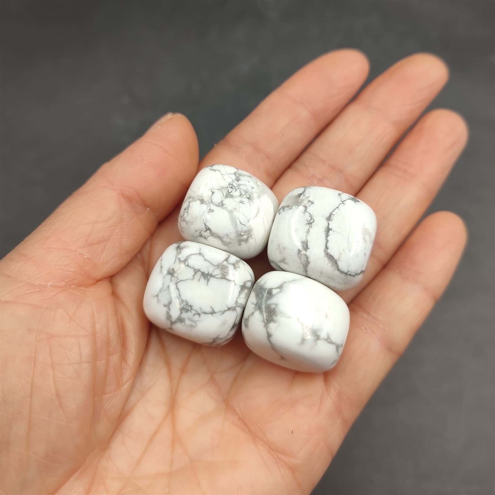 1pc Howlite Naturale Tumbled Stones Cristallo di Quarzo Pesce Vaso di Fiori Paesaggio Decorazione Pietra preziosa Ornamento for la casa Cristallo Collezioni di casa