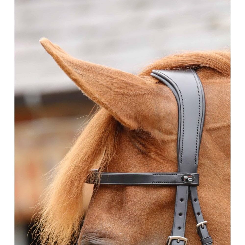 Premier Equine Trense Reiten für Hunter Primo
