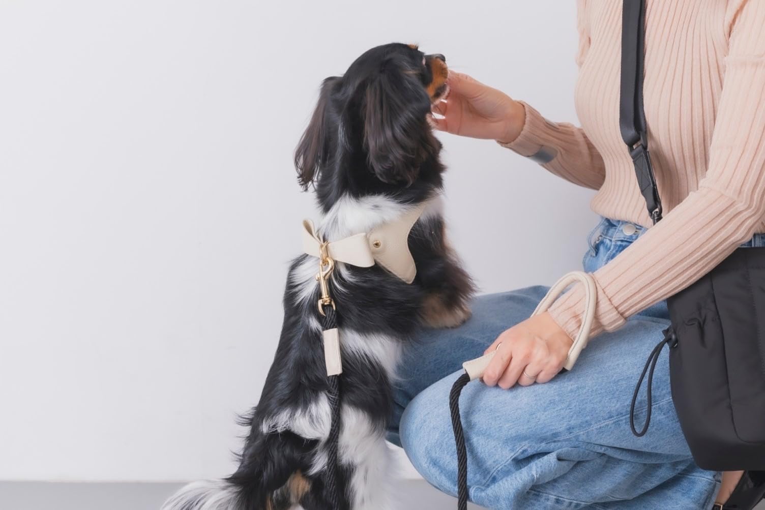 Amazon | 【正規品】Milla Noue ミラヌー レザー 本革 牛革 S M 小型犬