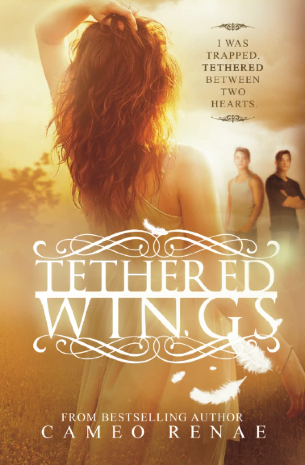 Tethered Wings (Hidden Wings Series Book Three): 3