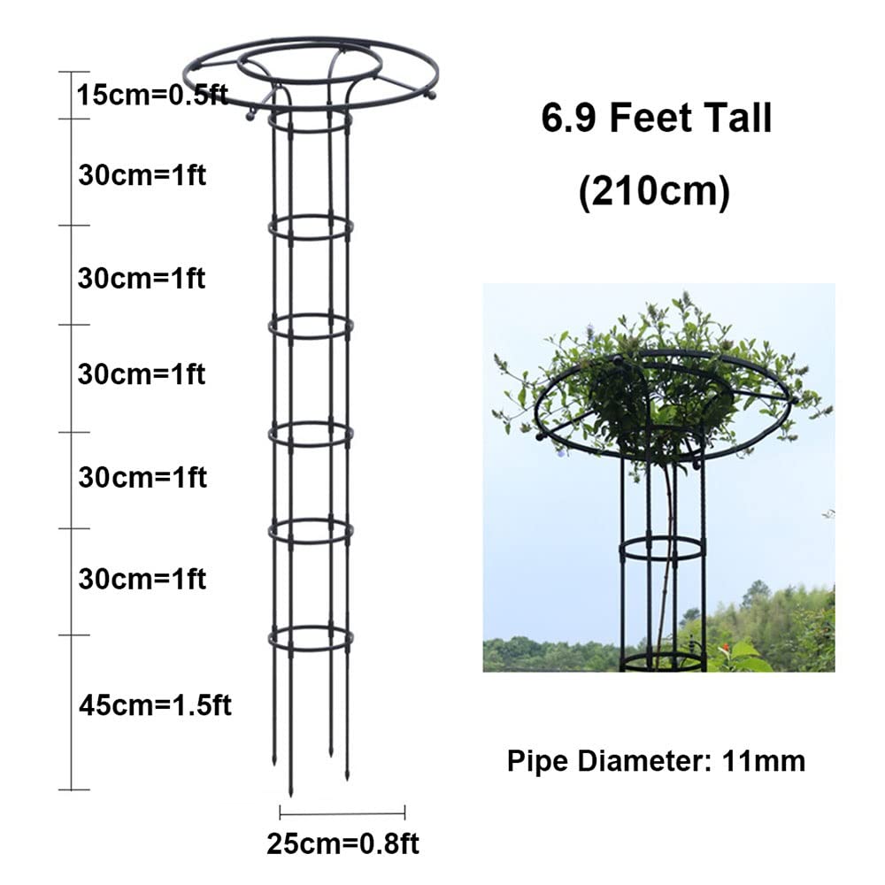 Obélisque de jardin porte - plantes d'escalade en plein air 90cm 120cm 150cm 180cm 210cm | porte - raisins de jardin ombrelle robuste, tomate, pois | cage de soutien floral ( Size : 210cm/6.9ft )