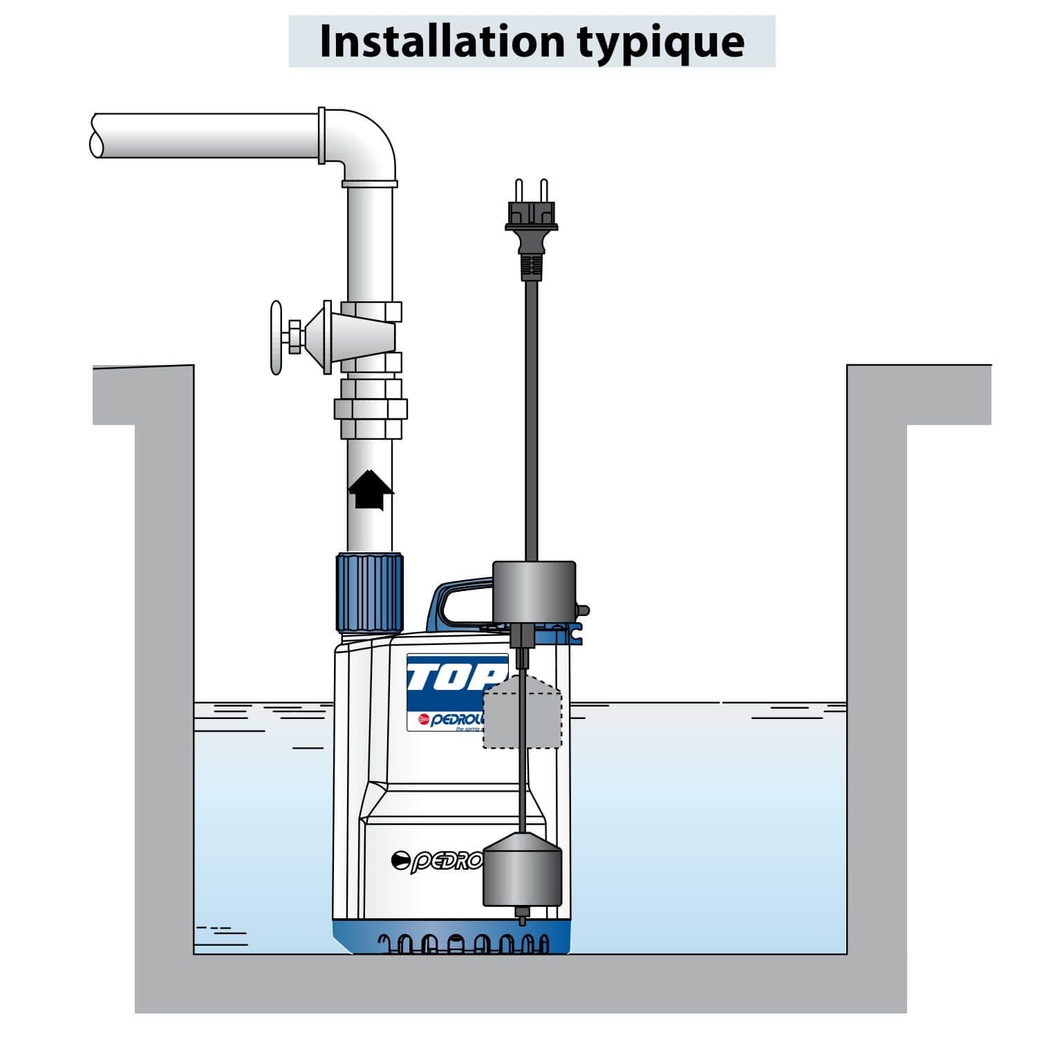 Pompe De Relevage 220v Pedrollo Top 1 Gm Eau De Pluie Flotteur Vertical 4.8 M3/h 0.25 Kw