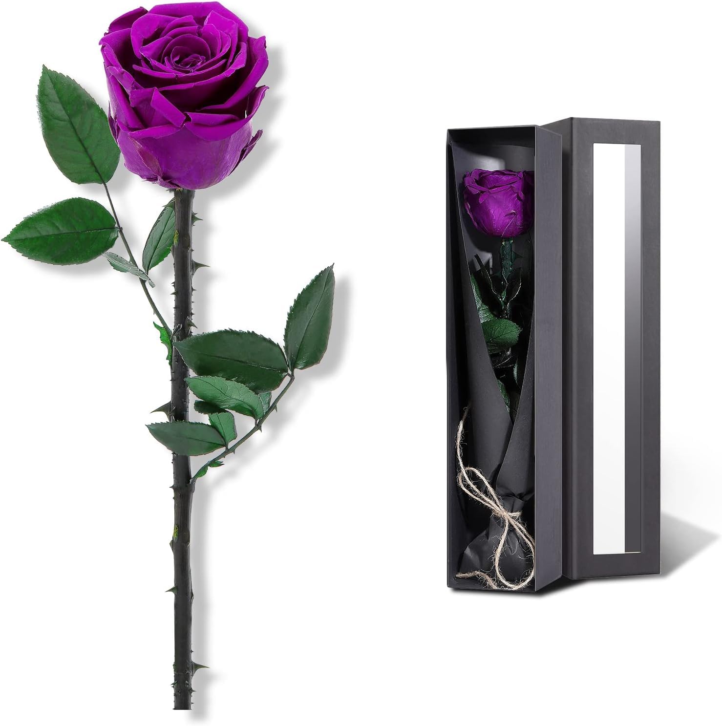 Xufeng Preserved Rose Eternal Enchanted Rose, Single Rose Flower Gifts for Women, Real Rose Gifts for Birthday, Valentines Flowers for Female (Purple)
