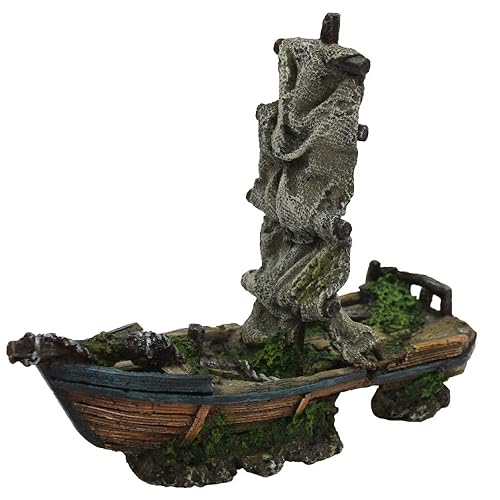 Amtra Wave Beauty Barca