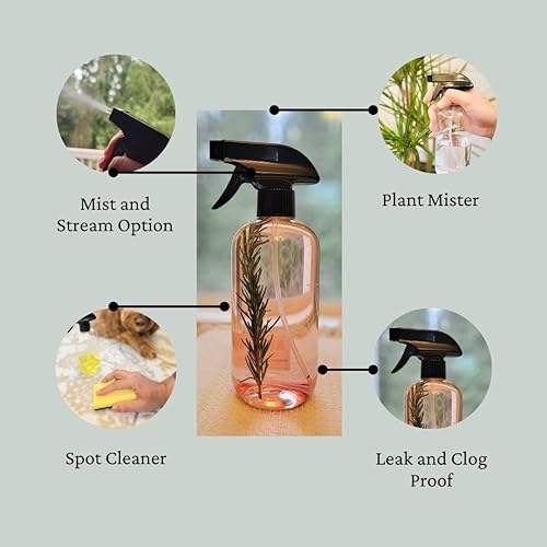 Miniatura 3 de Day1Day2 - Botella de plástico transparente de 16 onzas, 1 paquete, para todo uso, recargable, a prueba de fugas, resistente, boquilla ajustable,