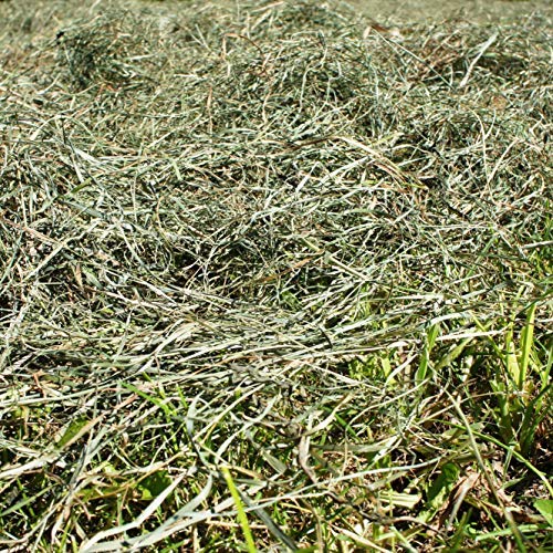 Heu 1. Schnitt - Naturheu Qualitäts-Kleintier-Futter - Heu für Kaninchen Hasen Hamster Nager & Kleintiere - lose im Öko Papiersack aus der größten Heumilch-Region Europas in Österreich (1 x 6 kg)