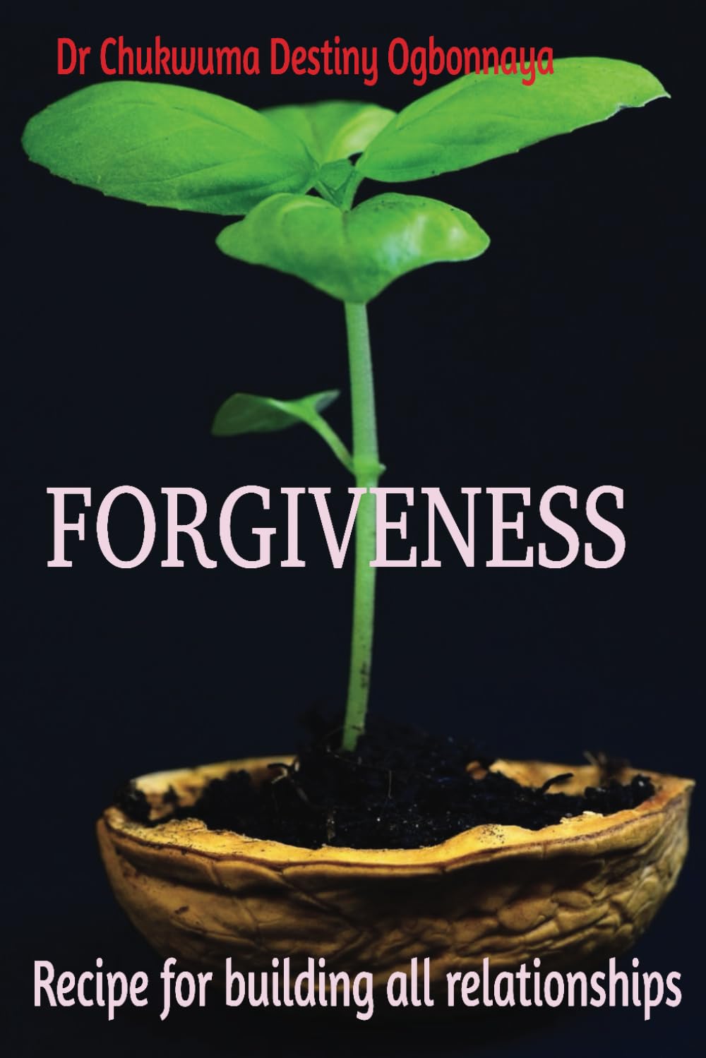 FORGIVENESS: Captivating insights on how love, communication and forgiveness could improve your social capital.
