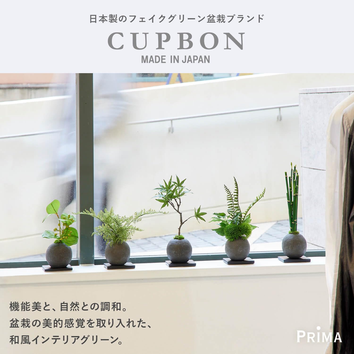 盆栽 『グミ』 インテリア 園芸 観葉植物 ガーデニング 送料無料 b039 盆栽 『グミ』 インテリア 園芸 観葉植物 ガーデニング 送料無料 b039