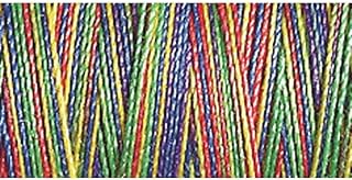 Gutermann Multicoloured Variegated Machine Embroidery & Quilting Sulky Thread for Decorative Embroidery & General Sewing - 300m Spool - 300m Spool- Primary Colours - 4106-1 x 300m Spool