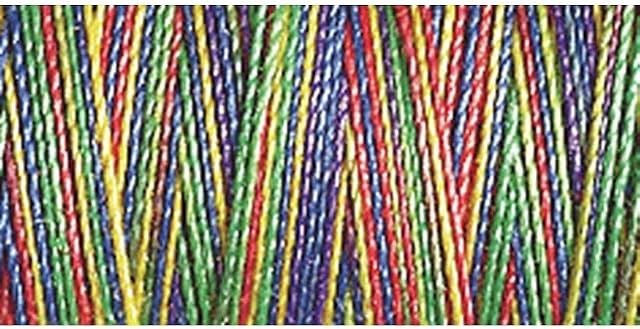 Gutermann Multicoloured Variegated Machine Embroidery & Quilting Sulky Thread for Decorative Embroidery & General Sewing - 300m Spool - 300m Spool- Primary Colours - 4106-1 x 300m Spool