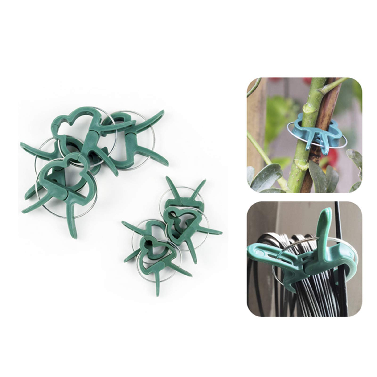 Support Plantes Grimpantes Lot 80 Pinces Plantes Réutilisables - 2 Tailles Pour Tomates, Grimpantes | Support Jardin Pinces Fixation Tiges