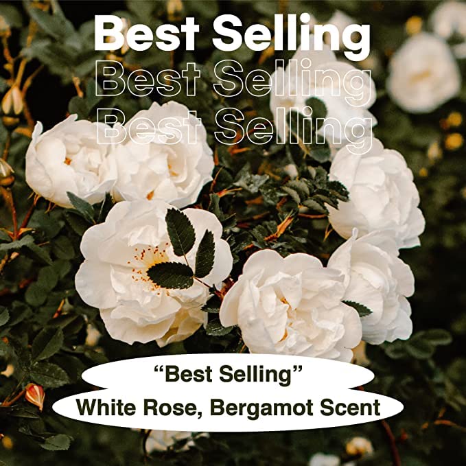 Miniatura 2 de skybottle Gel de baño, refrescante y limpieza con AHA, humedad profunda para piel seca, perfumado con bergamota, aroma a rosa blanca, 10.1 onzas