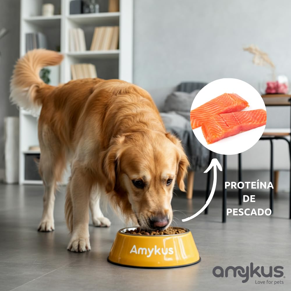 Original Fish 12,5 kg Pienso de Pescado con Salmón para Perros Adultos | Altamente Digestible |Alimento Seco