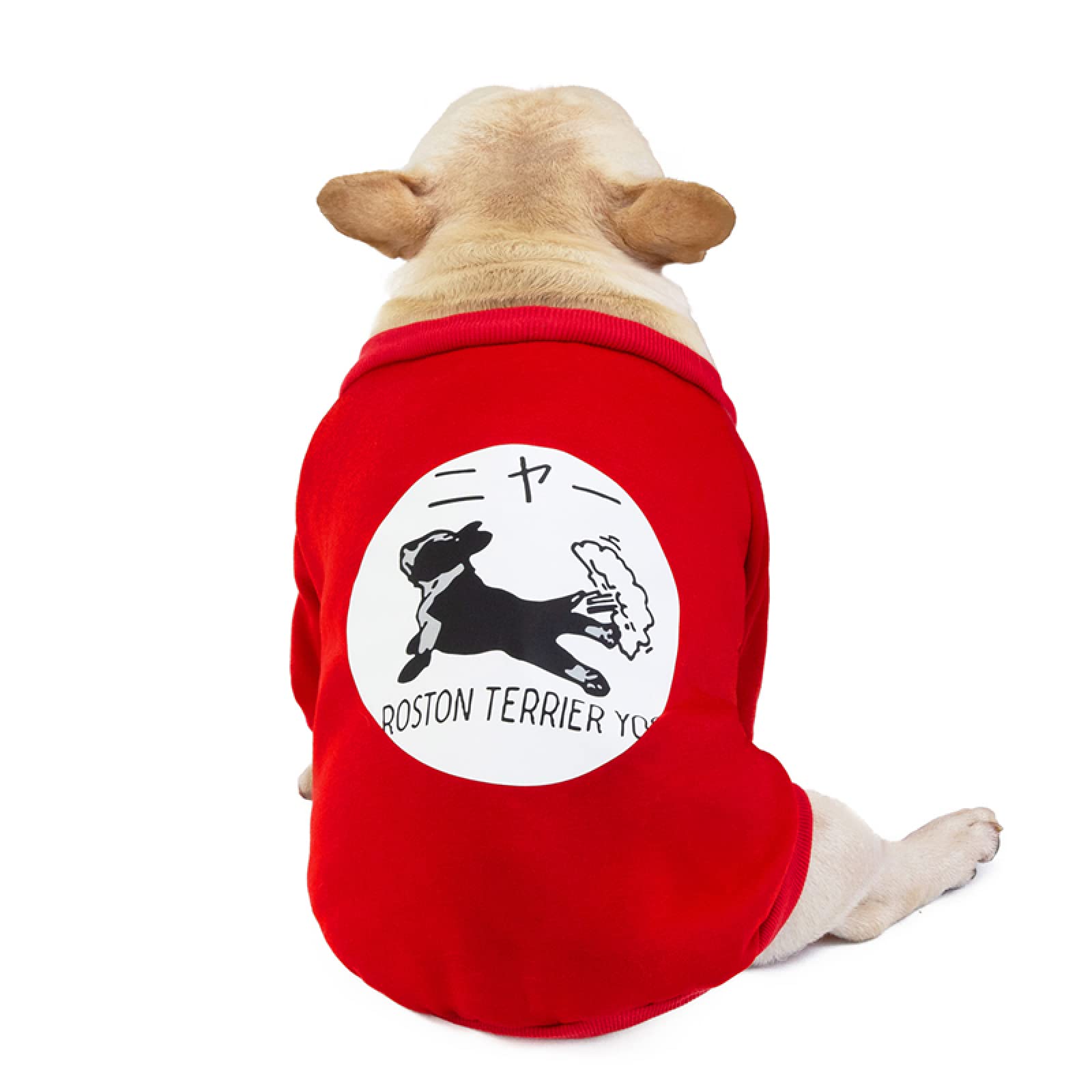 Manteau de Noël pour chien et bouledogue pour les promenades hivernales en famille